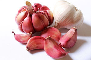 Knoblauch