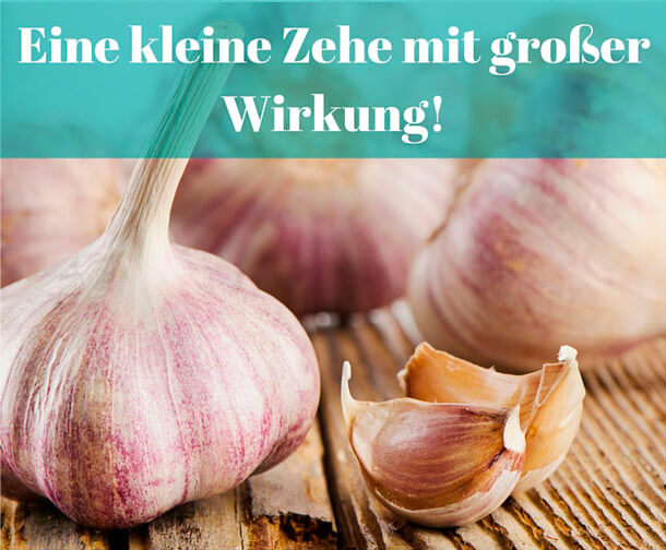 Knoblauch das gesunde Multitalent