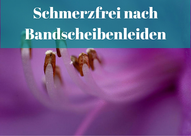 Wie Töte Ich Mich Schmerzfrei Bandscheibenleiden (Prolaps) - wie ich ohne Therapie schmerzfrei wurde