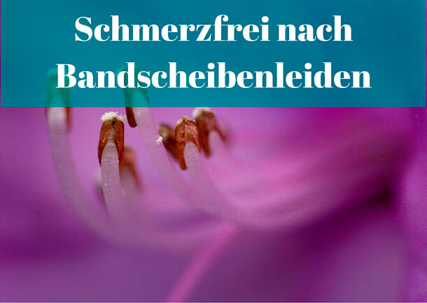 Bandscheibenleiden (Prolaps) – wie ich ohne Therapie schmerzfrei wurde