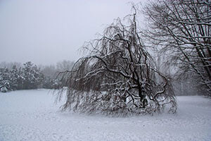 winterdepression