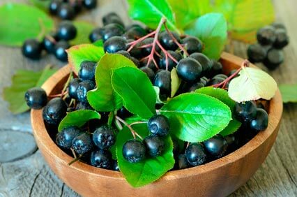 Aronia-Beere Wirkung & Rezepte