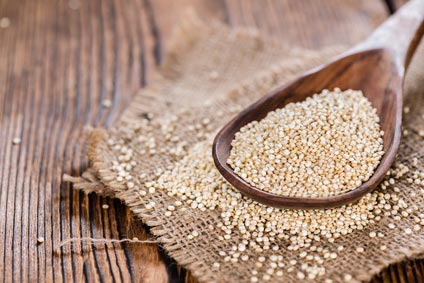 Quinoa Infos & Rezepte