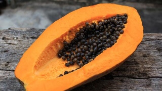 Papaya-Kerne