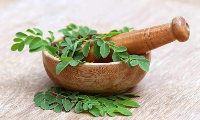 Moringa – Herkunft Wirkung & Inhaltsstoffe