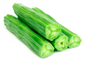 moringa-staengel