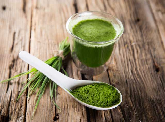 I❶I Spirulina – Warum diese Alge so gesund ist