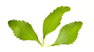 stevia