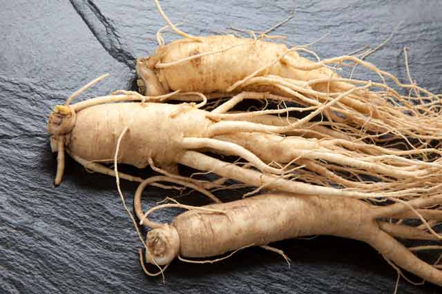 I❶I Ginseng – Heilpflanze aus Asien & Ihre Wirkung