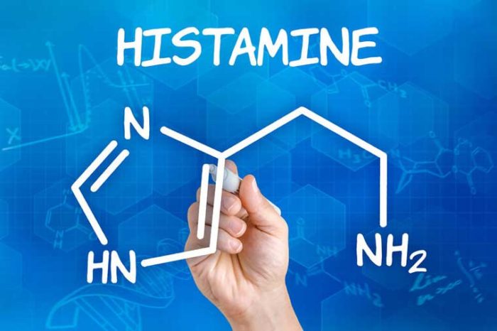 I❶I Natürliche Antihistaminika – Histamin-Intoleranzen & Histamin- Allergien